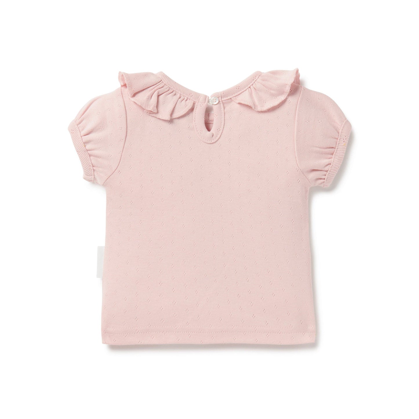 Petal Pink Pointelle Ruffle Top